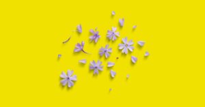 Unlocking the Secret to Aesthetic Instagram Bios