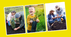 200 Arbor Day Captions for Instagram with Emojis